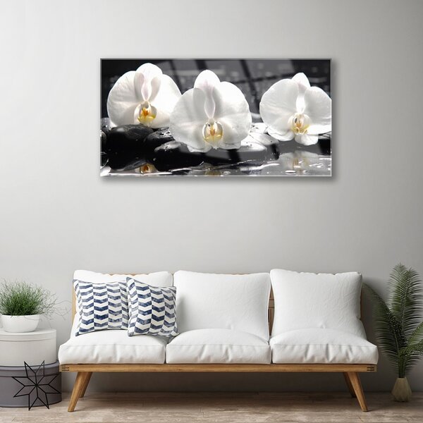 Skleneny obraz Kvet kamene rastlina 100x50 cm 2 Prívesky
