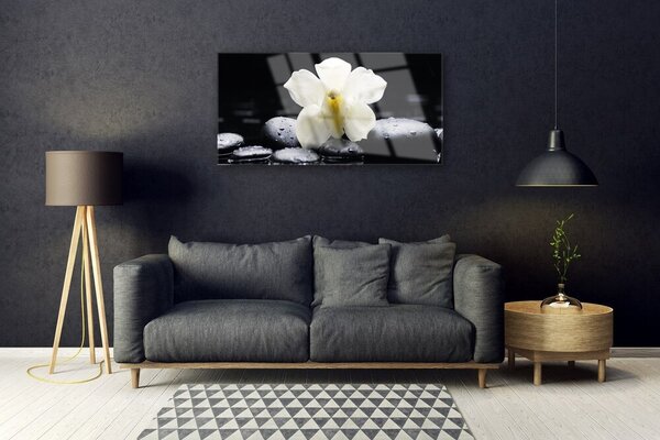 Skleneny obraz Kvet kamene rastlina 100x50 cm 2 Prívesky