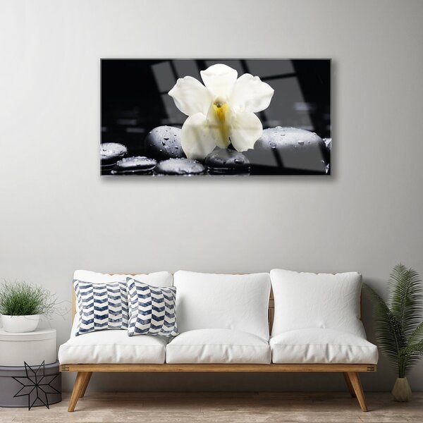 Skleneny obraz Kvet kamene rastlina 100x50 cm 2 Prívesky