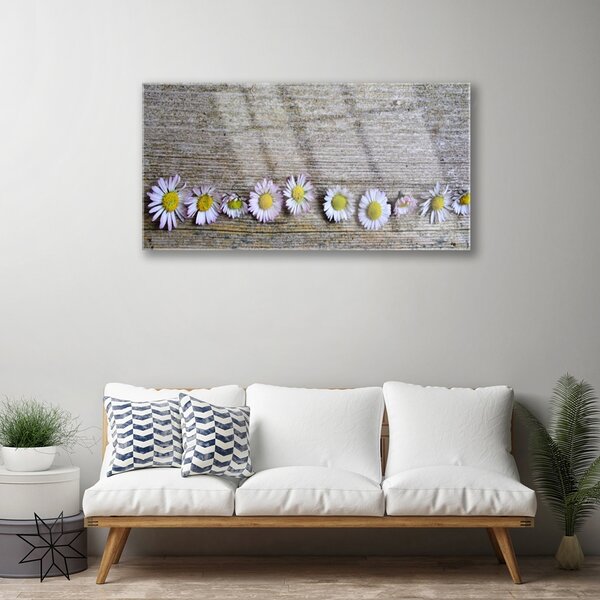 Skleneny obraz Sedmokráska rastlina príroda 100x50 cm 2 Prívesky