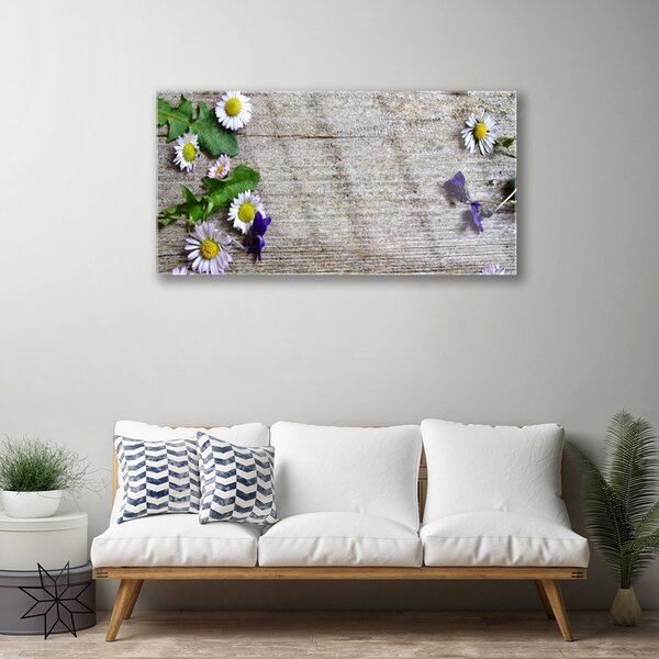 Skleneny obraz Sedmokráska rastlina príroda 100x50 cm 2 Prívesky