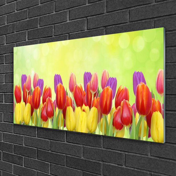 Skleneny obraz Tulipány kvety rastlina 100x50 cm 2 Prívesky