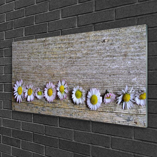 Skleneny obraz Sedmokráska rastlina príroda 100x50 cm 2 Prívesky