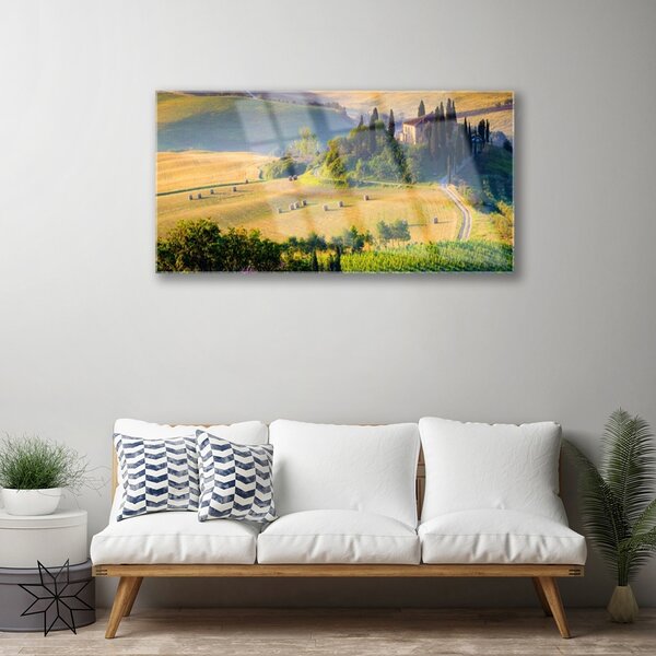 Skleneny obraz Pole stromy príroda 100x50 cm 2 Prívesky