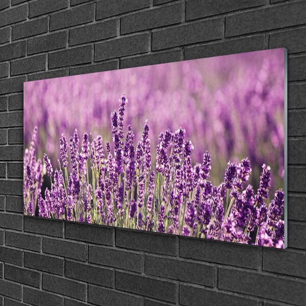 Skleneny obraz Kvety rastlina príroda 100x50 cm 2 Prívesky