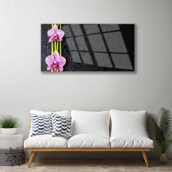 Skleneny obraz Bambus kvet rastlina príroda 100x50 cm 2 Prívesky