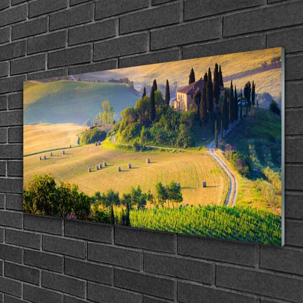 Skleneny obraz Pole stromy príroda 100x50 cm 2 Prívesky