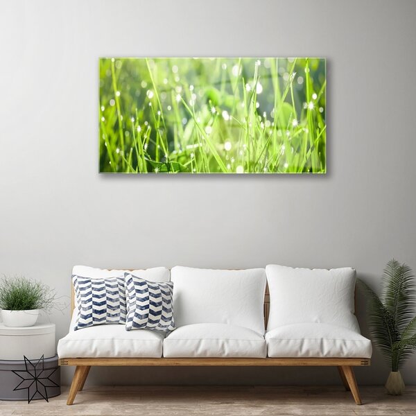 Skleneny obraz Tráva rastlina príroda 100x50 cm 2 Prívesky