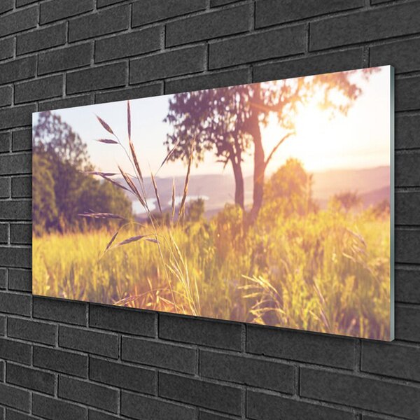 Skleneny obraz Lúka tráva strom príroda 100x50 cm 2 Prívesky