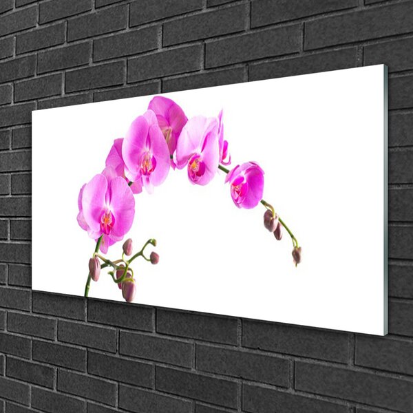 Skleneny obraz Kvety rastlina príroda 100x50 cm 2 Prívesky