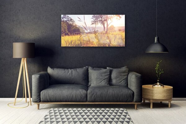 Skleneny obraz Lúka tráva strom príroda 100x50 cm 2 Prívesky