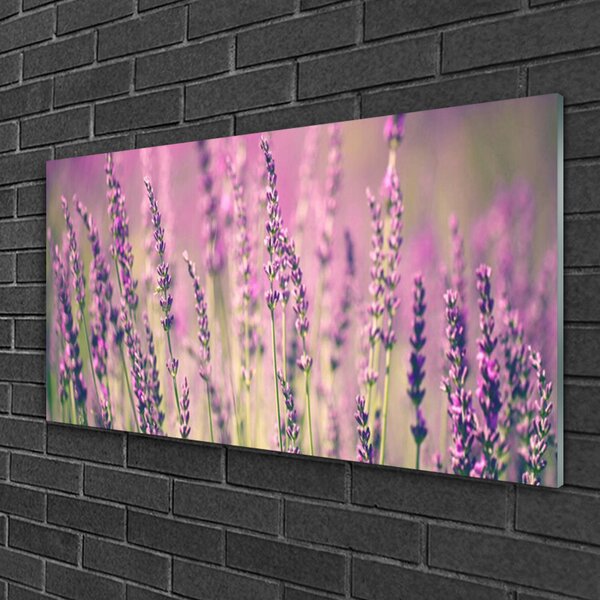 Skleneny obraz Kvety rastlina príroda 100x50 cm 2 Prívesky