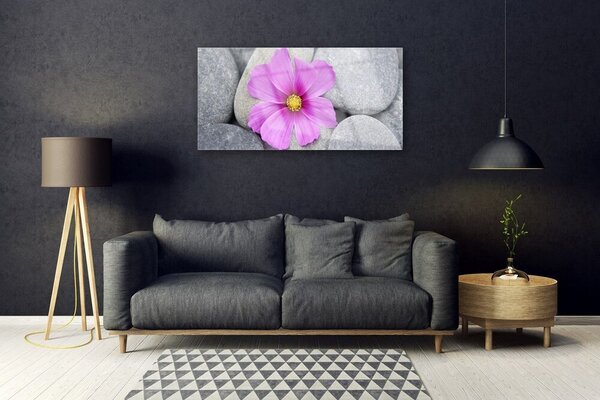 Skleneny obraz Kvet kamene rastlina 100x50 cm 2 Prívesky
