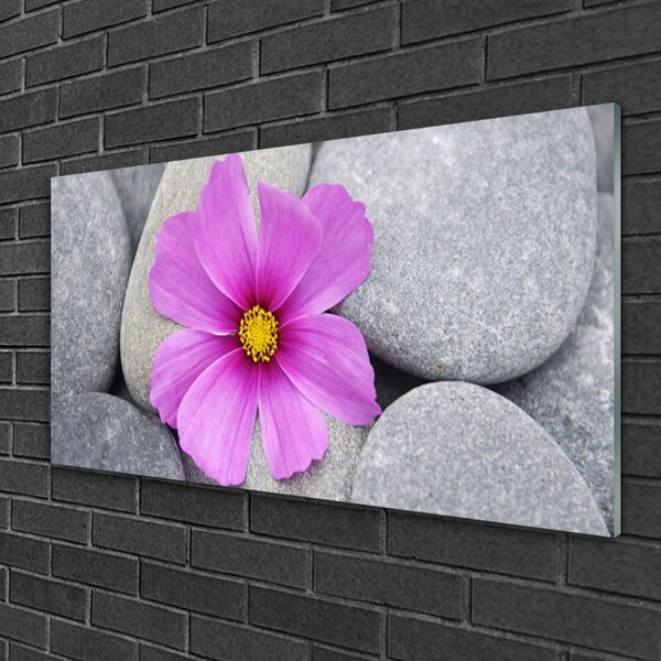 Skleneny obraz Kvet kamene rastlina 100x50 cm 2 Prívesky