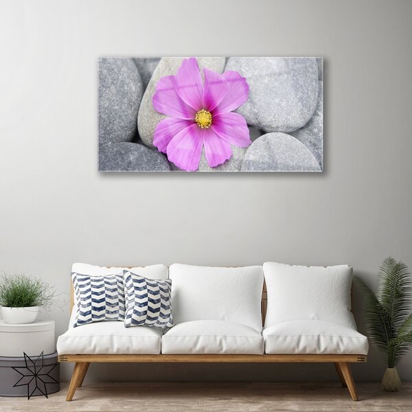 Skleneny obraz Kvet kamene rastlina 100x50 cm 2 Prívesky