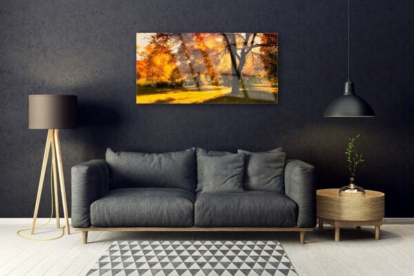 Skleneny obraz Stromy jeseň príroda 100x50 cm 2 Prívesky