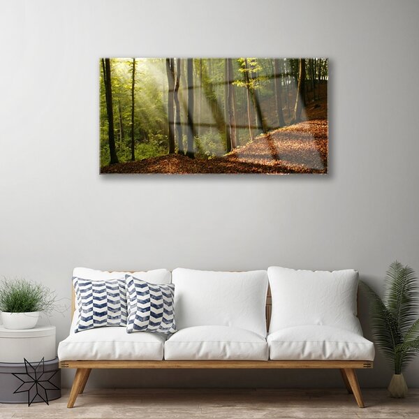 Skleneny obraz Les stromy príroda 100x50 cm 2 Prívesky