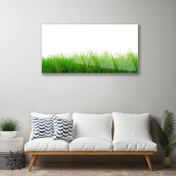 Skleneny obraz Tráva rastlina príroda 100x50 cm 2 Prívesky