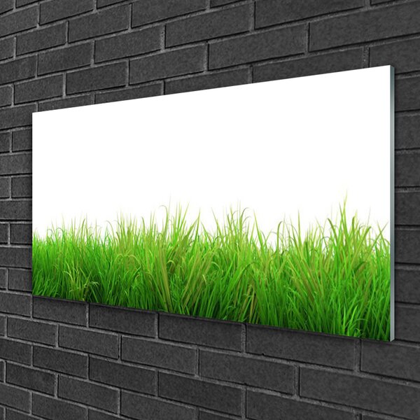 Skleneny obraz Tráva rastlina príroda 100x50 cm 2 Prívesky