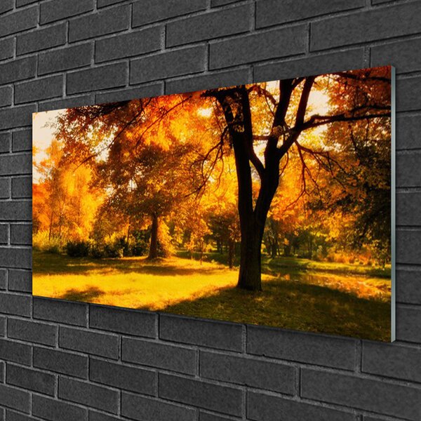 Skleneny obraz Stromy jeseň príroda 100x50 cm 2 Prívesky