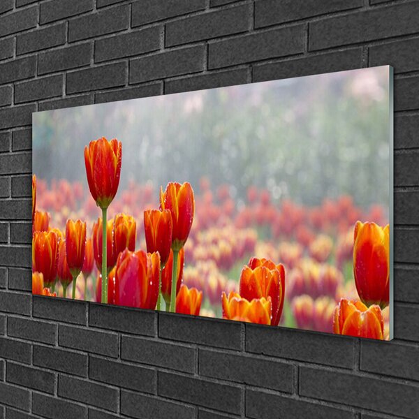 Skleneny obraz Tulipány kvety rastlina 100x50 cm 2 Prívesky