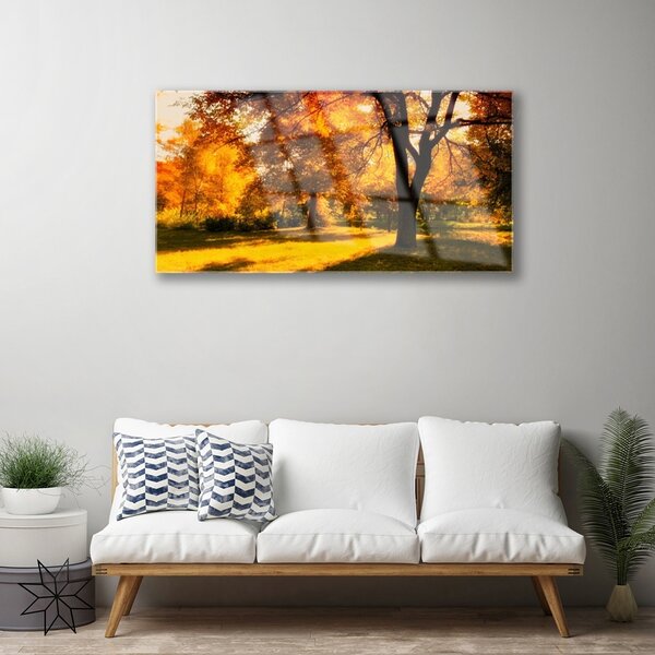 Skleneny obraz Stromy jeseň príroda 100x50 cm 2 Prívesky