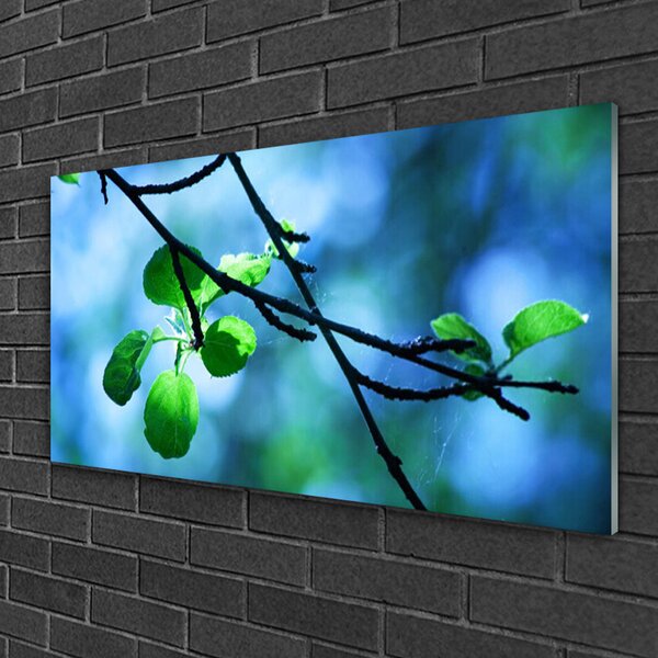 Skleneny obraz Vetva listy rastlina príroda 100x50 cm 4 Prívesky