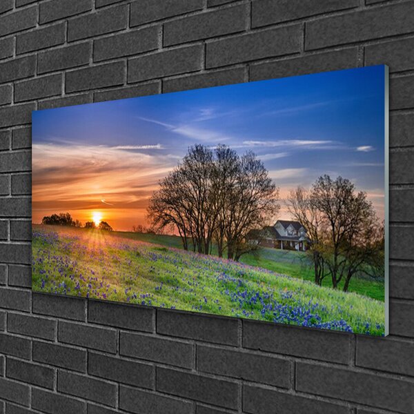 Skleneny obraz Lúka slnko krajina 100x50 cm 2 Prívesky