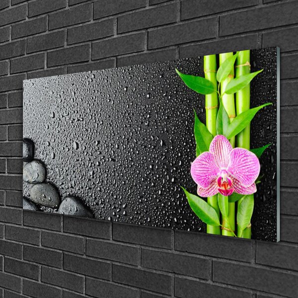 Skleneny obraz Bambus stonka kvet rastlina 100x50 cm 2 Prívesky