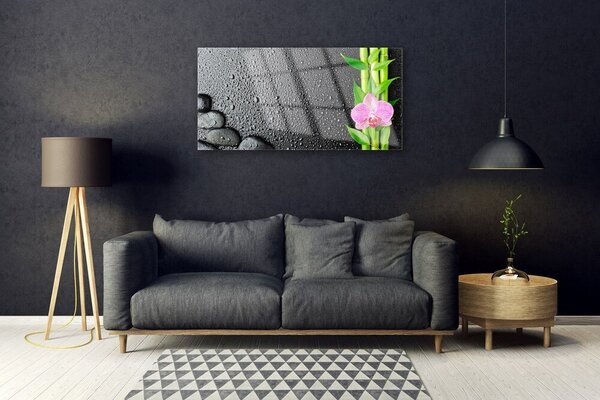 Skleneny obraz Bambus stonka kvet rastlina 100x50 cm 2 Prívesky