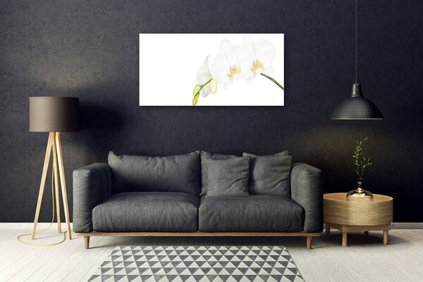 Skleneny obraz Kvety rastlina príroda 100x50 cm 2 Prívesky