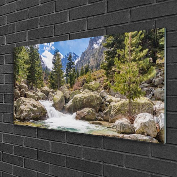 Skleneny obraz Hora les kamene rieka 100x50 cm 2 Prívesky