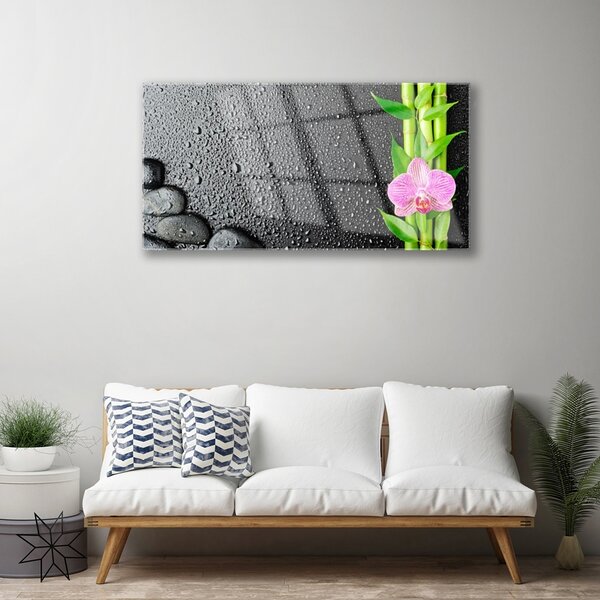 Skleneny obraz Bambus stonka kvet rastlina 100x50 cm 2 Prívesky