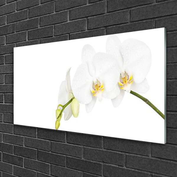 Skleneny obraz Kvety rastlina príroda 100x50 cm 2 Prívesky