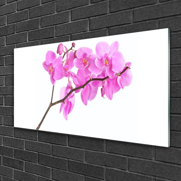 Skleneny obraz Kvety rastlina príroda 100x50 cm 2 Prívesky