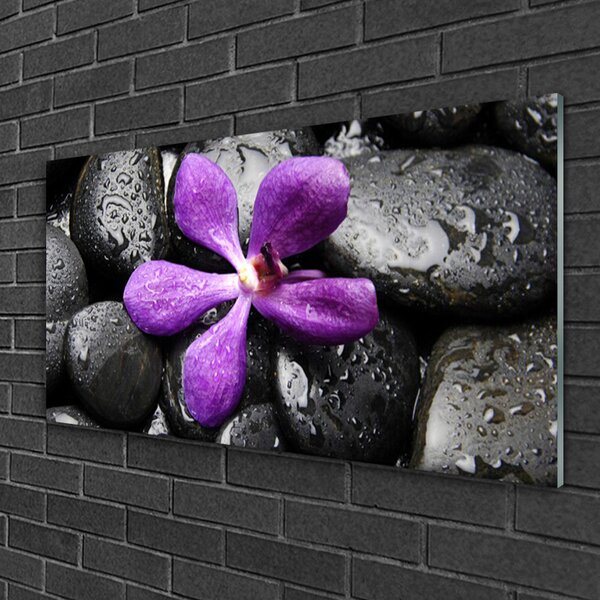 Skleneny obraz Kvet kamene umenie 100x50 cm 2 Prívesky