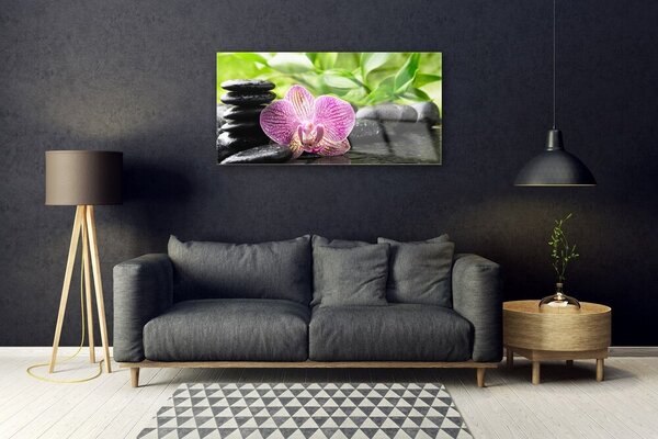 Obraz na skle Kvet kamene rastlina 100x50 cm 2 Prívesky
