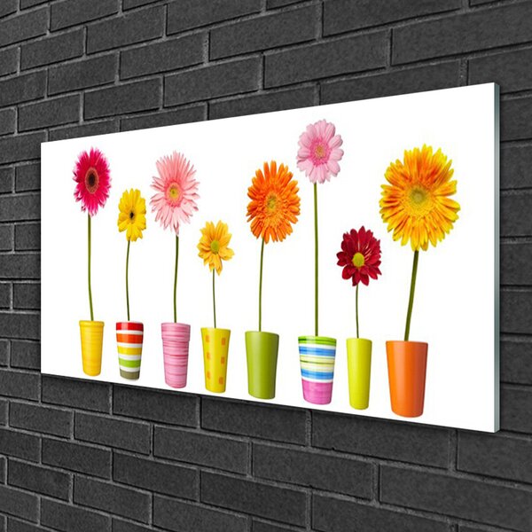 Obraz na skle Kvety rastlina príroda 100x50 cm 2 Prívesky