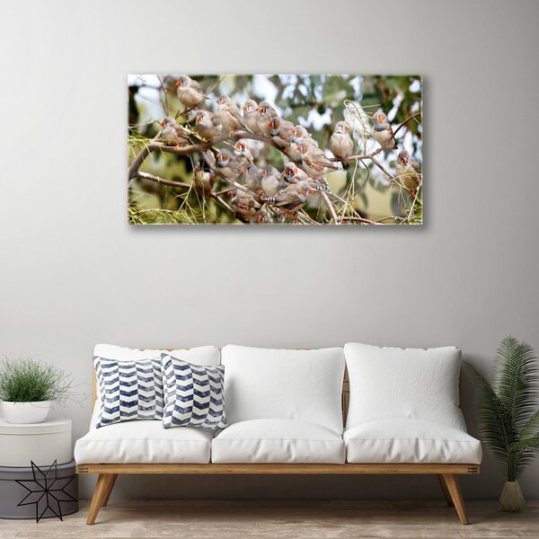 Obraz na skle Vtáky zvieratá 100x50 cm 2 Prívesky
