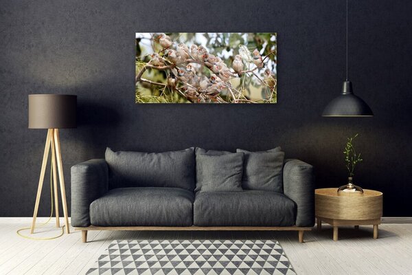 Obraz na skle Vtáky zvieratá 100x50 cm 2 Prívesky