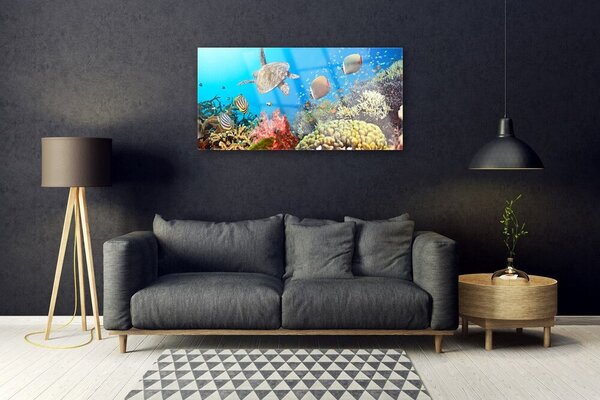 Obraz na skle Koralový útes krajina 100x50 cm 2 Prívesky
