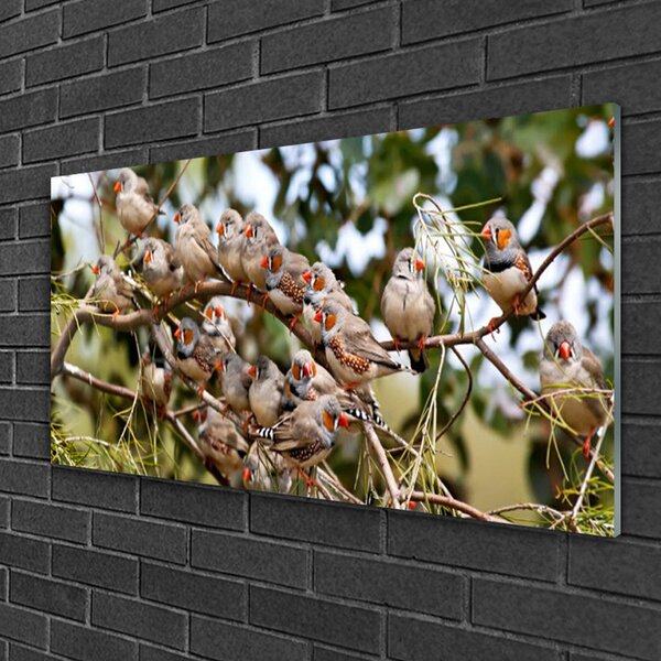 Obraz na skle Vtáky zvieratá 100x50 cm 2 Prívesky