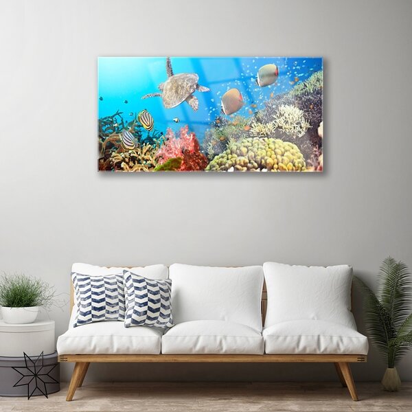 Obraz na skle Koralový útes krajina 100x50 cm 2 Prívesky