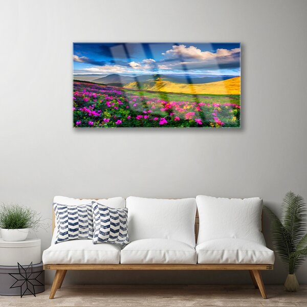 Obraz na skle Lúka kvety príroda 100x50 cm 2 Prívesky