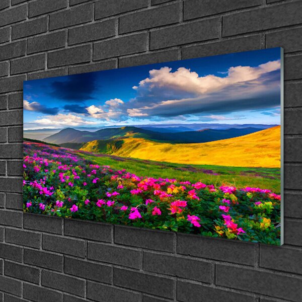 Obraz na skle Lúka kvety príroda 100x50 cm 2 Prívesky
