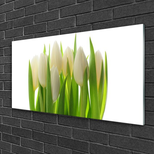 Obraz na skle Tulipány rastlina príroda 100x50 cm 2 Prívesky