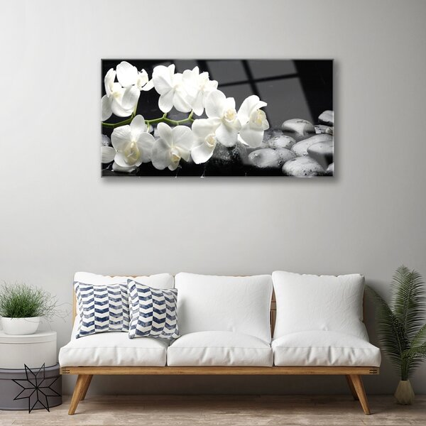 Obraz na skle Kvet kamene rastlina 100x50 cm 2 Prívesky