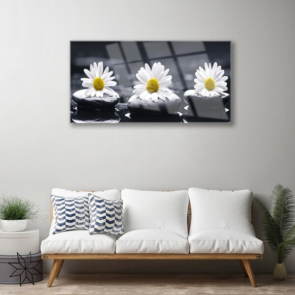 Obraz na skle Sedmokráska kamene rastlina 100x50 cm 2 Prívesky
