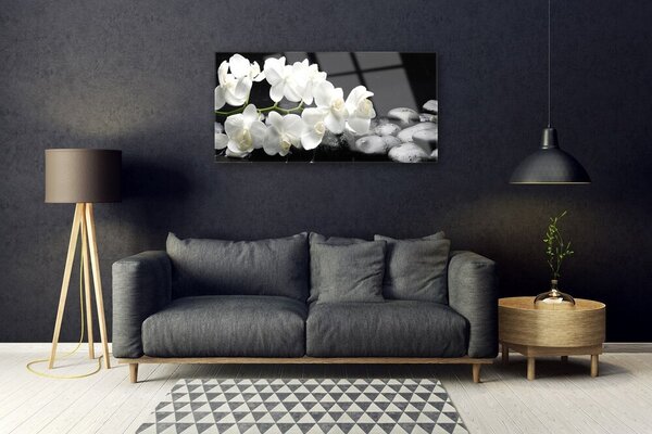 Obraz na skle Kvet kamene rastlina 100x50 cm 2 Prívesky