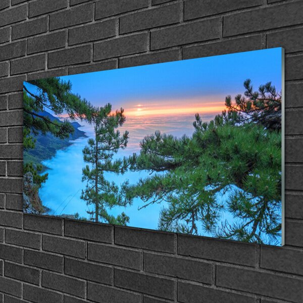 Obraz na skle Stromy príroda 100x50 cm 2 Prívesky